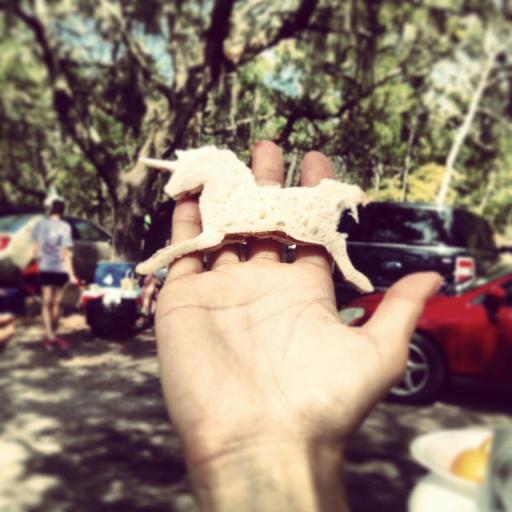 Magical performance enhancing unicorn grilled cheese to help fend off the affects of the Curse.